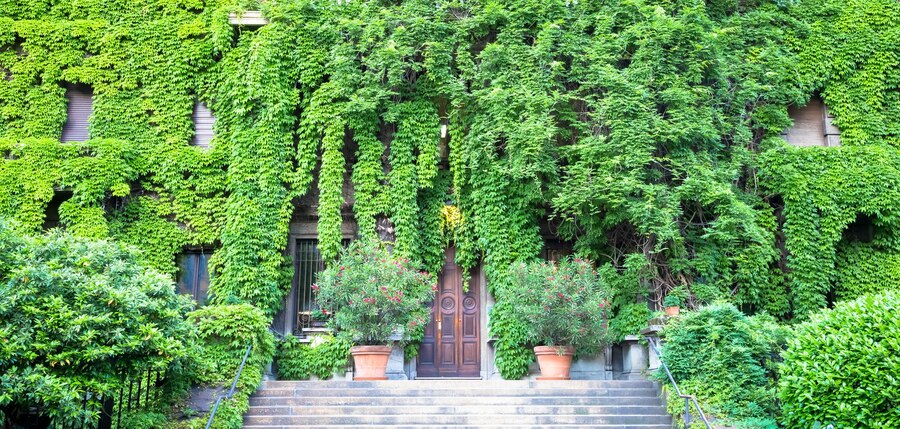 طراحی نمای سبز ساختمان