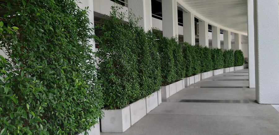 طراحی نمای سبز ساختمان