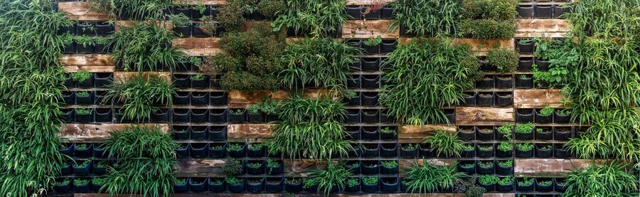 طراحی نمای سبز ساختمان